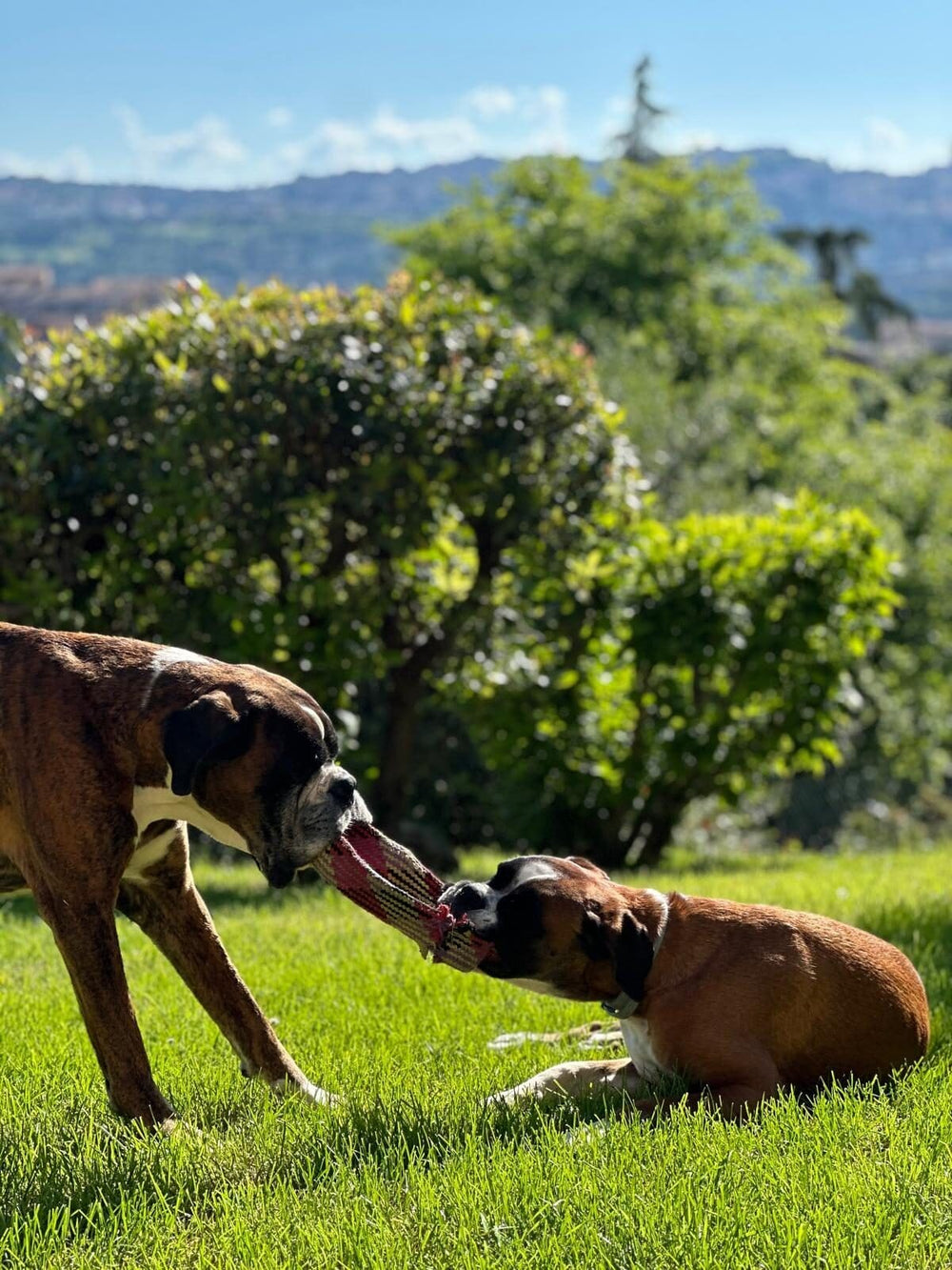 Aron & Mia