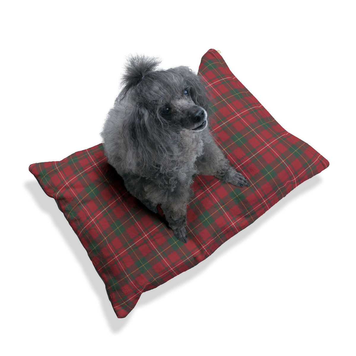 Cuccia “Tartan di Natale”