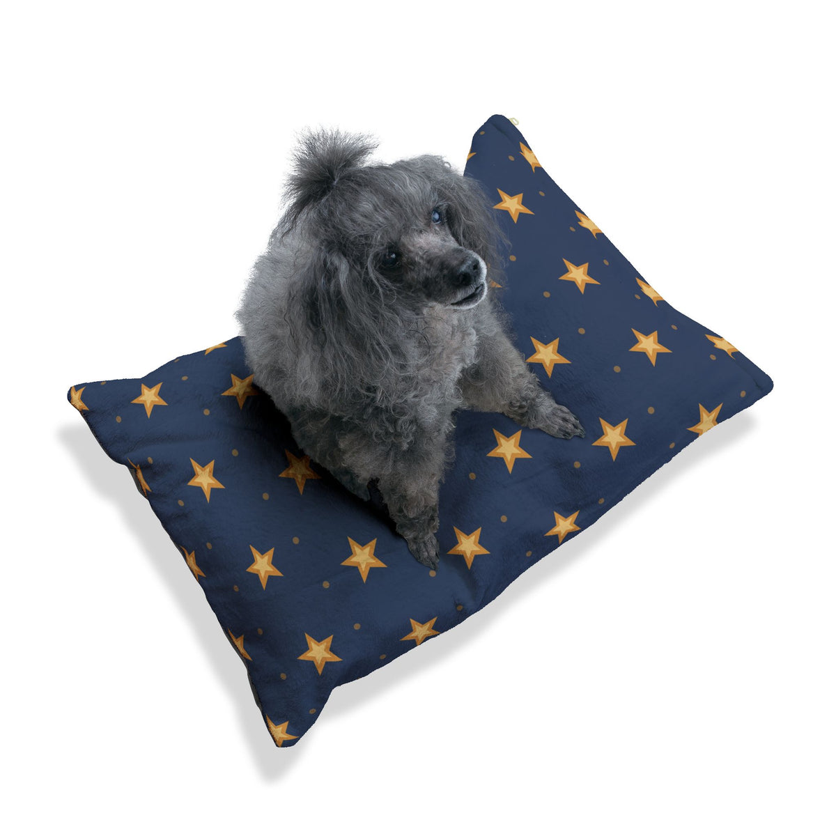Cuccia “Stelle d'oro”