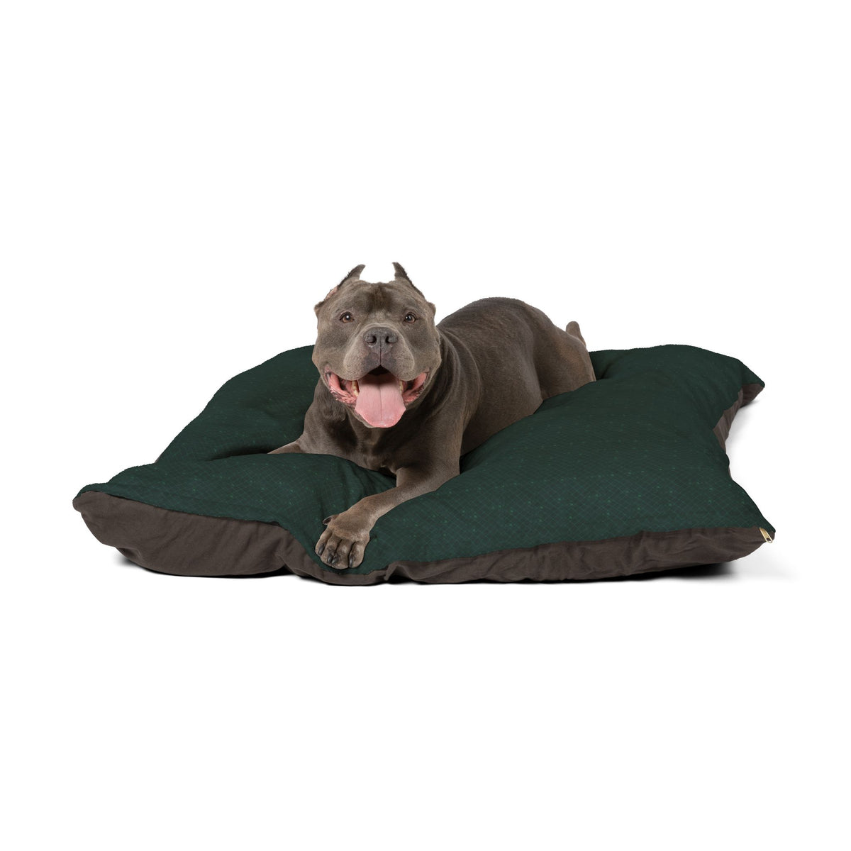 Cuccia per cane “Regale” — Perla Italia