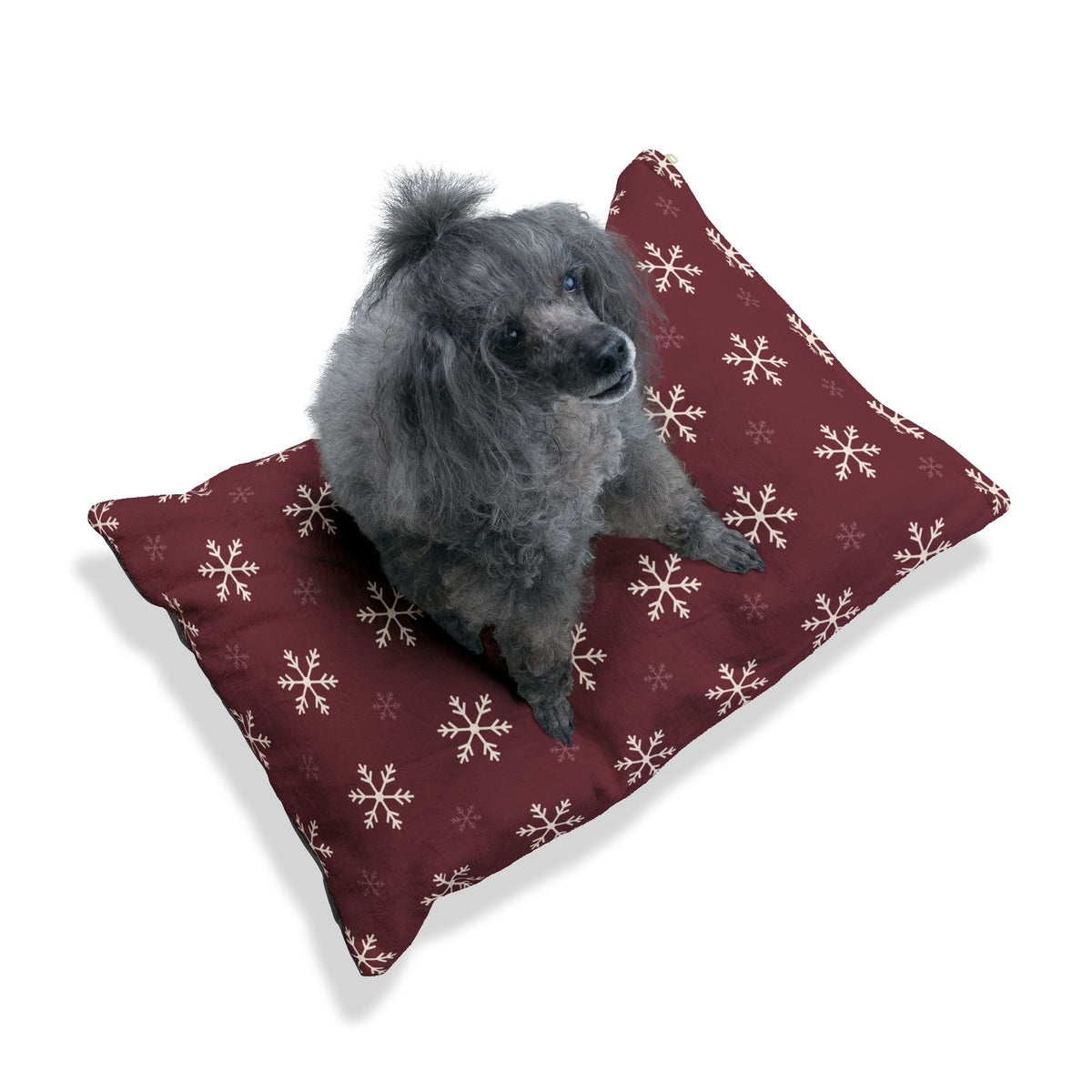 Cuccia “Fiocchi”