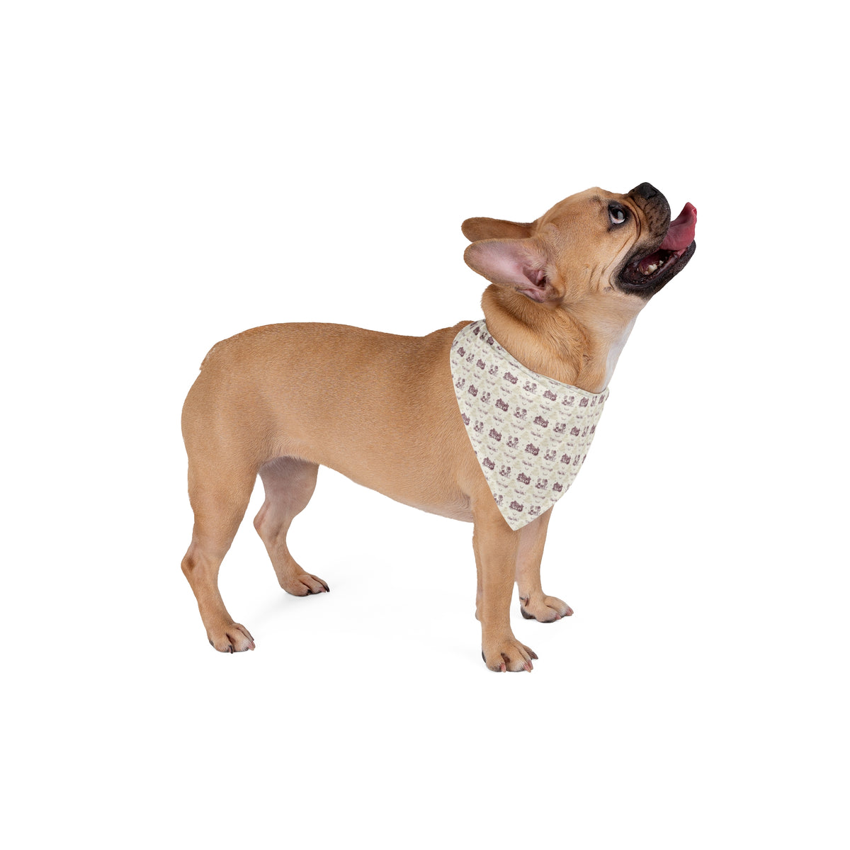 Bandana per cane “Botanica” — Perla Italia