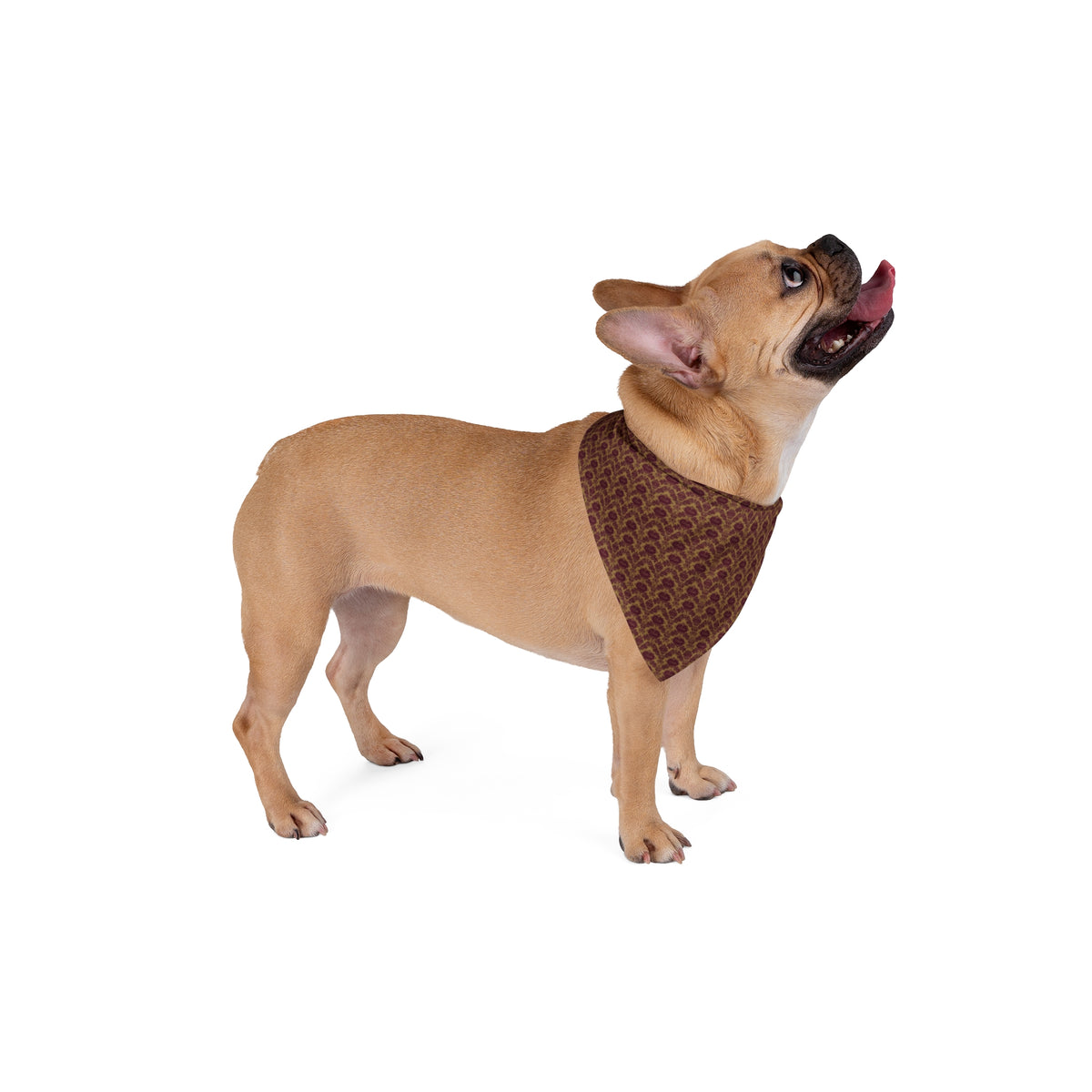 Bandana per cane “Nobile” — Perla Italia