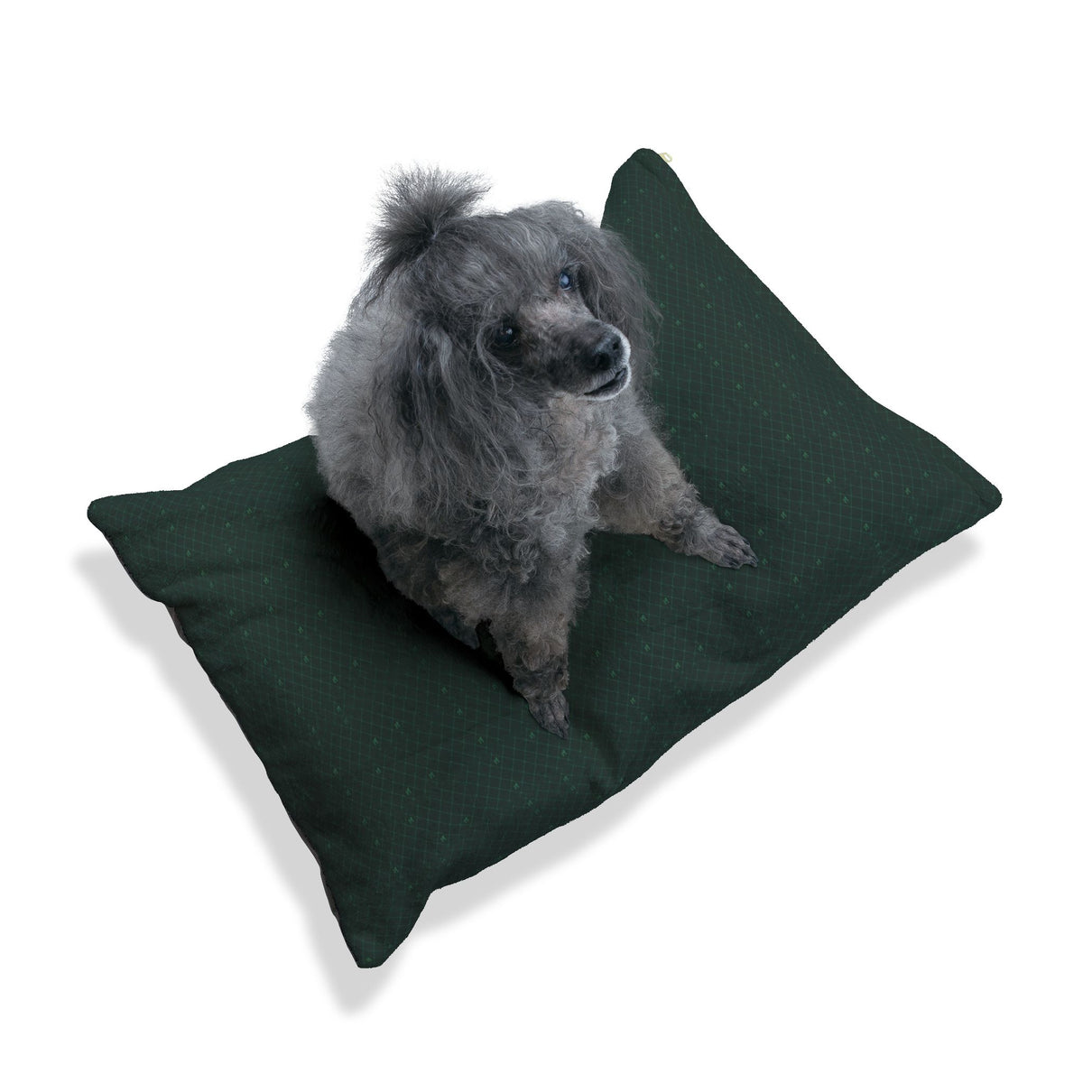 Cuccia per cane “Regale” — Perla Italia