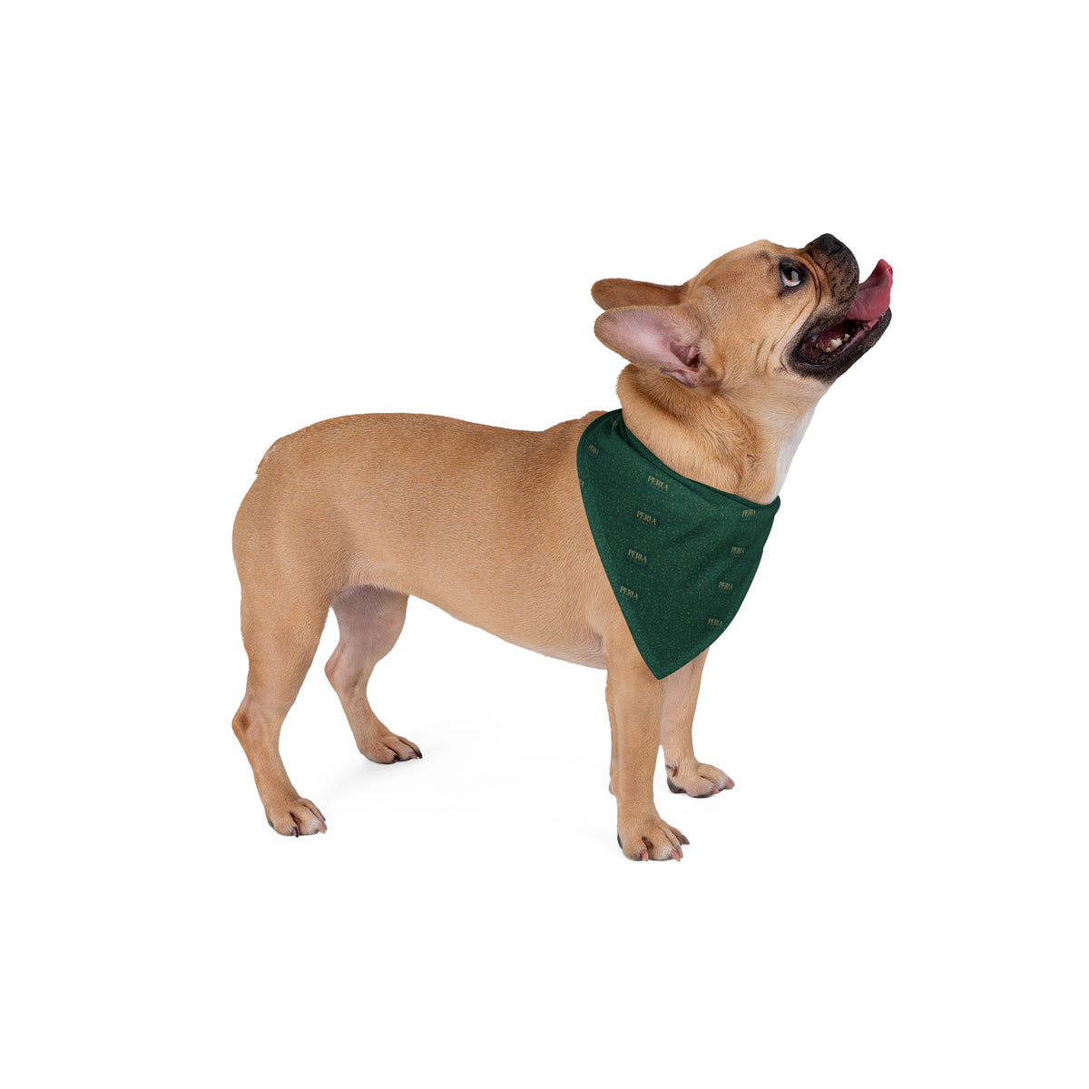 Bandana per cane “Onda” — Perla Italia