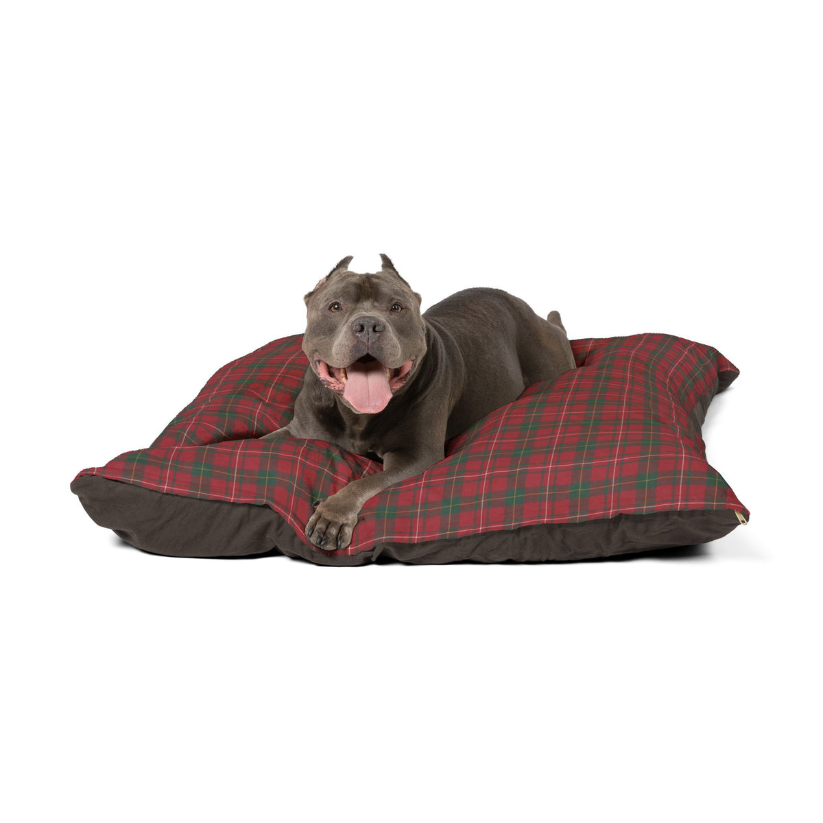 Cuccia “Tartan di Natale”