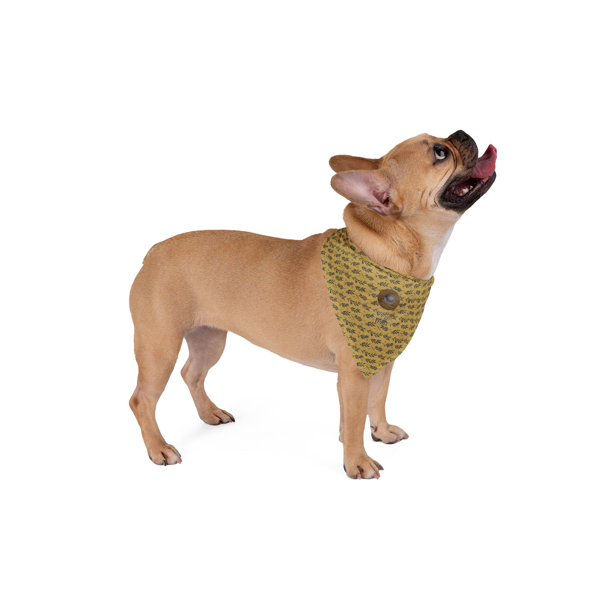 Bandana per cane “Barocco” — Perla Italia