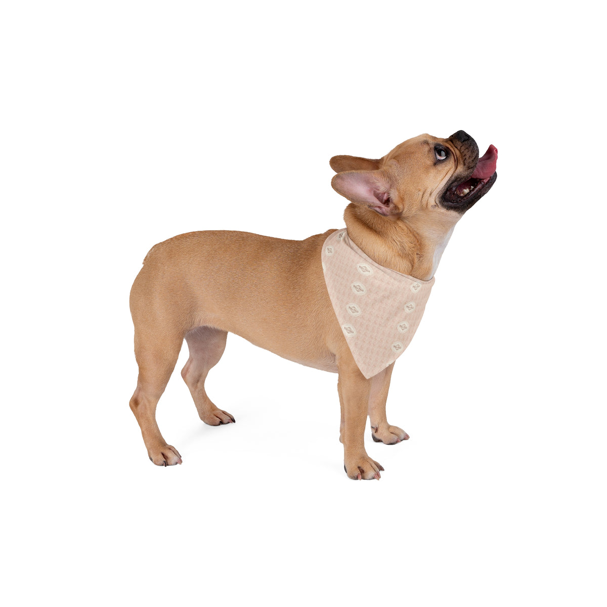 Bandana per cane “Cachemire” — Perla Italia