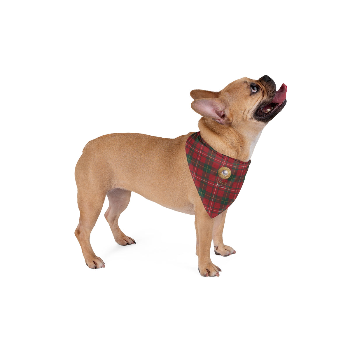 Bandana “Christmas Tartan”