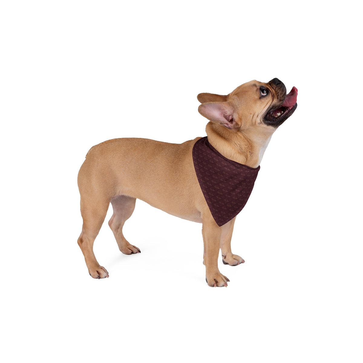 Bandana per cane “Foglia” — Perla Italia