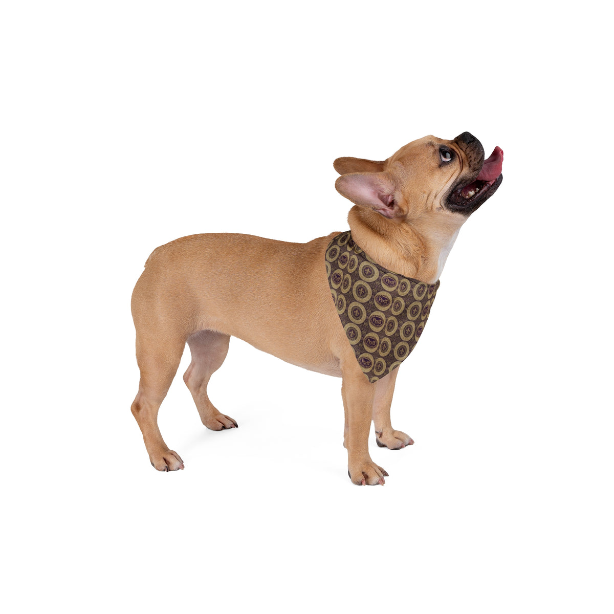 Bandana per cane “Vortice” — Perla Italia
