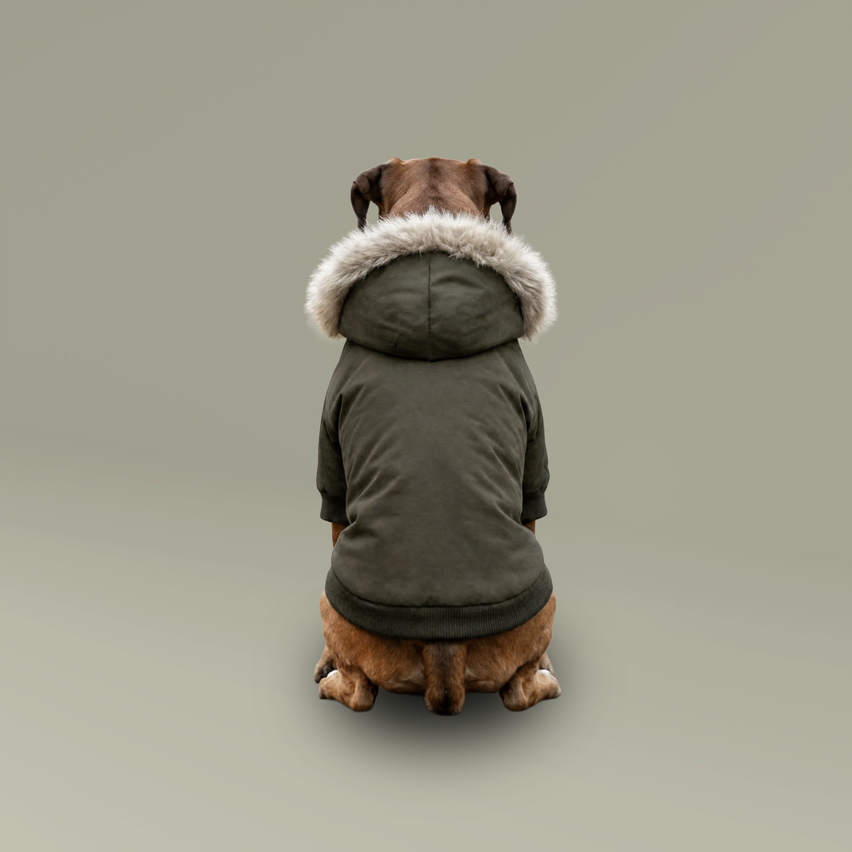 Giacchetto Parka — il dorso, dove va il disegno