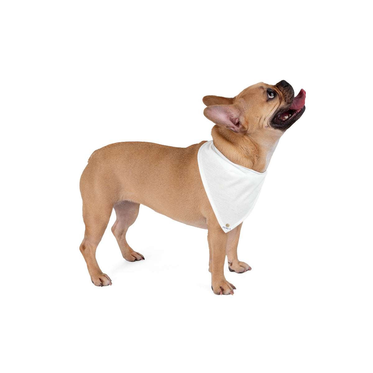 Bandana per cane “Crea il Tuo Design” — Perla Italia