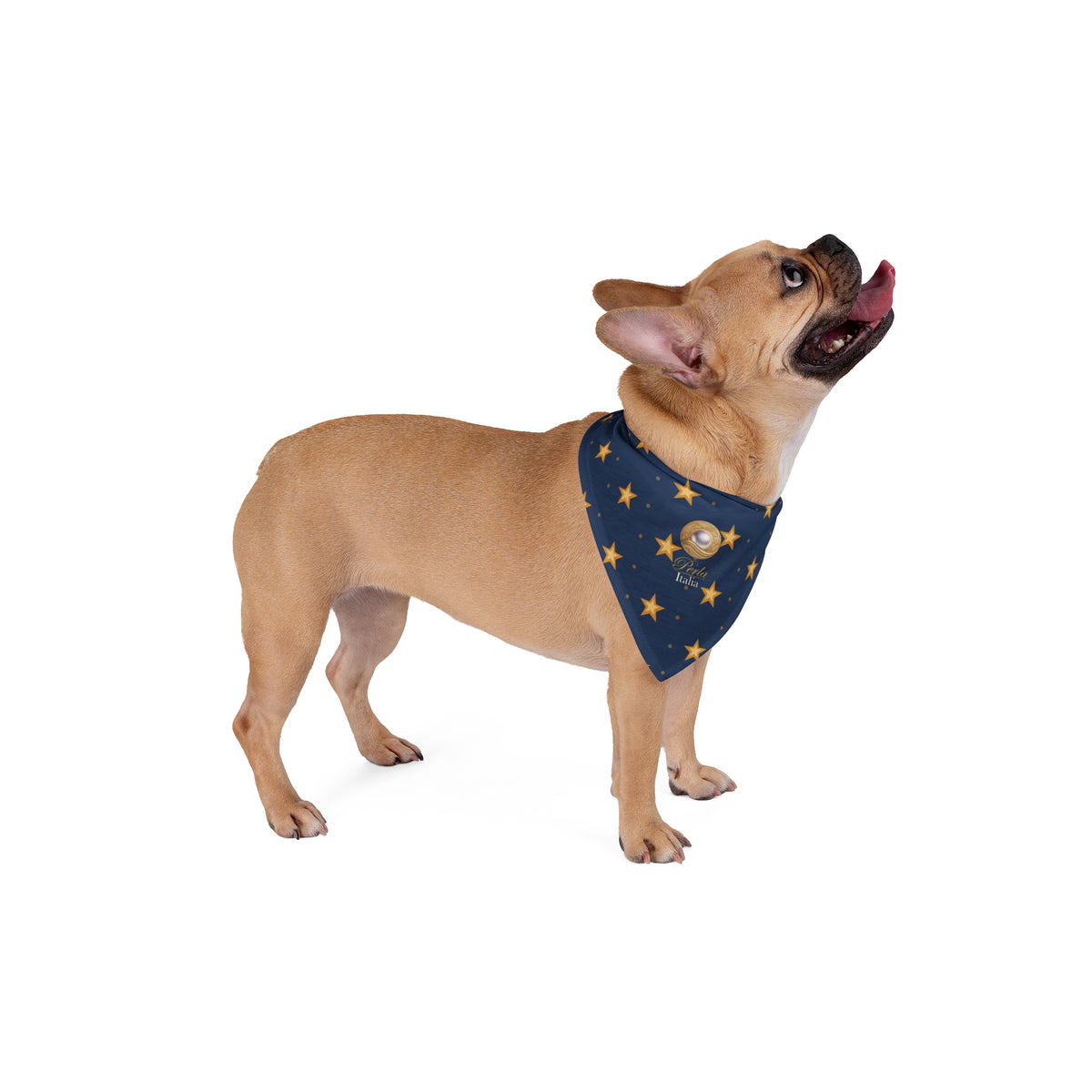 Bandana “Stelle d'oro”